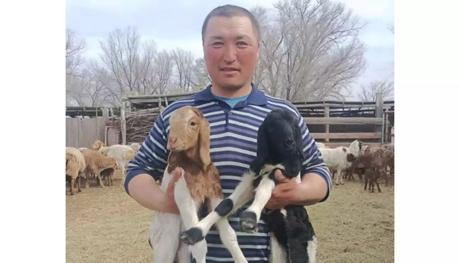 Двойная удача