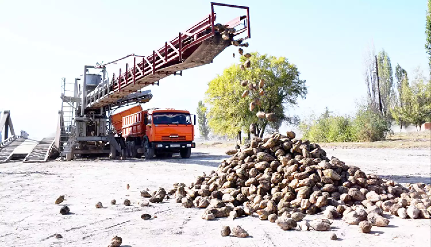 Горький привкус сахара