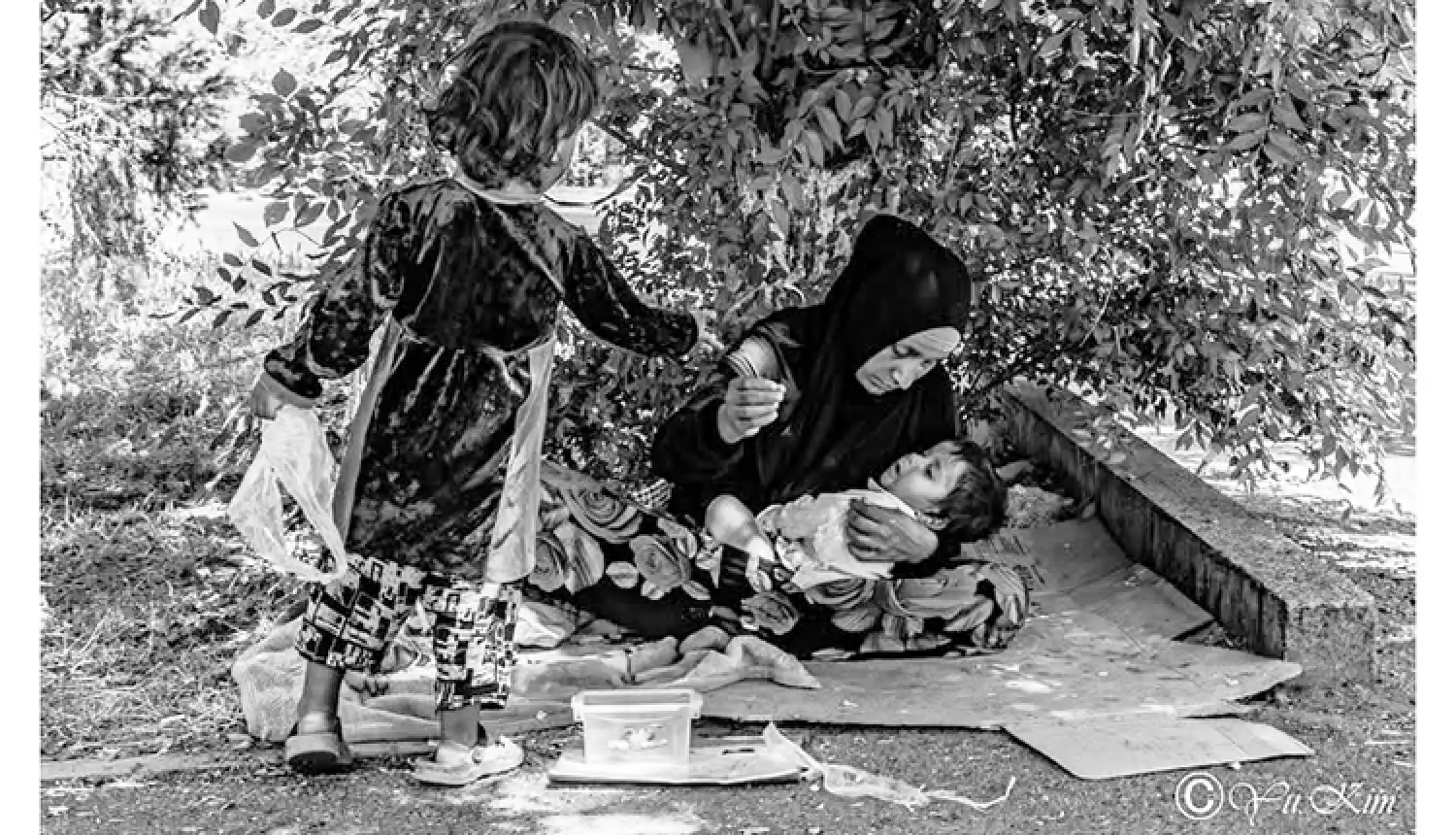 Ядовитые цветы тротуаров