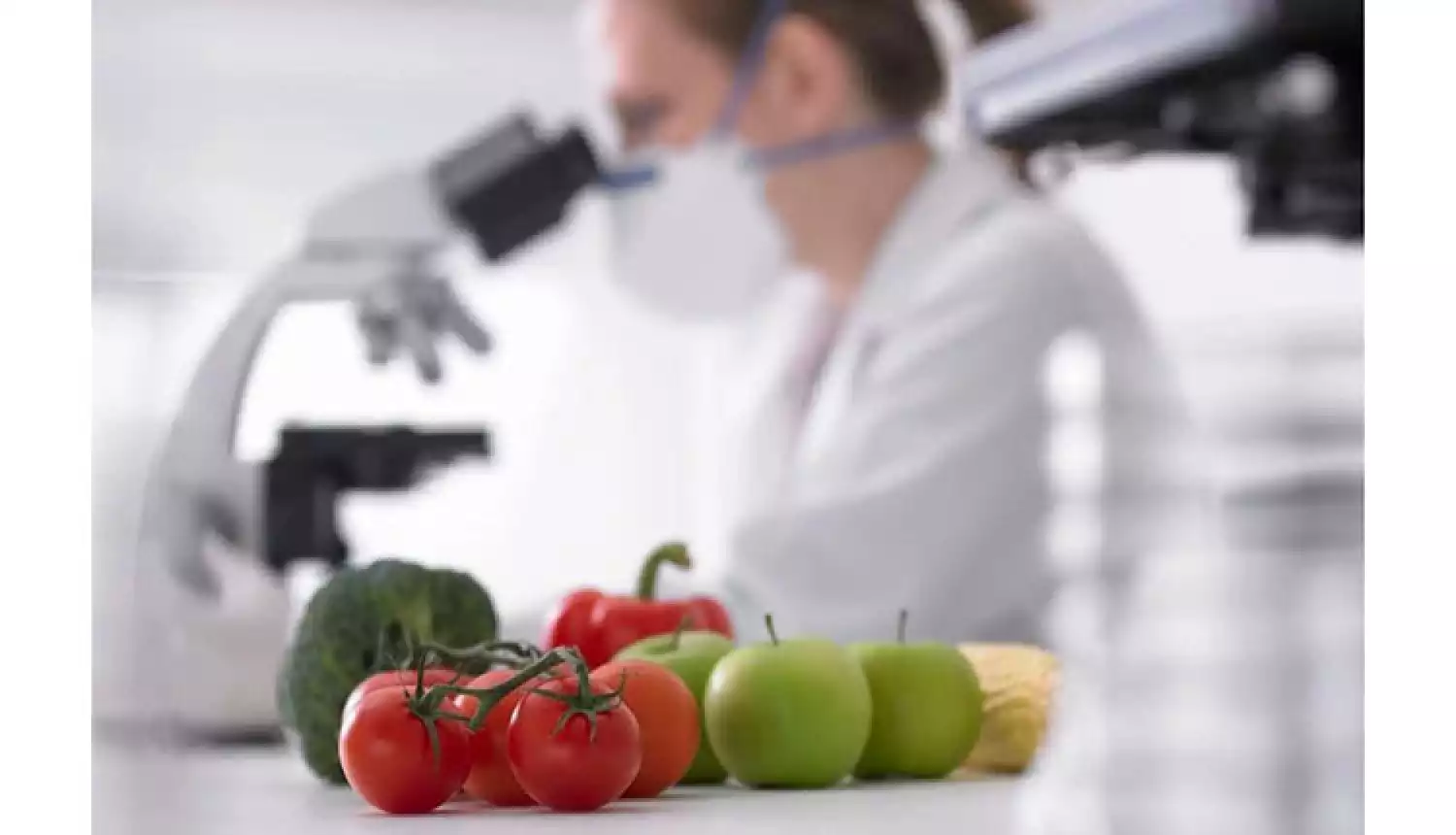 Вредителей отправляют назад