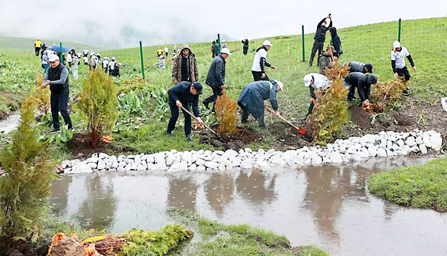 Жамбылцы вышли на уборку