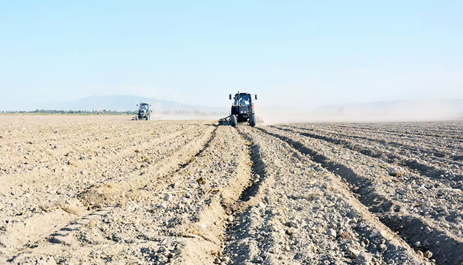 Вышли в поле трактора