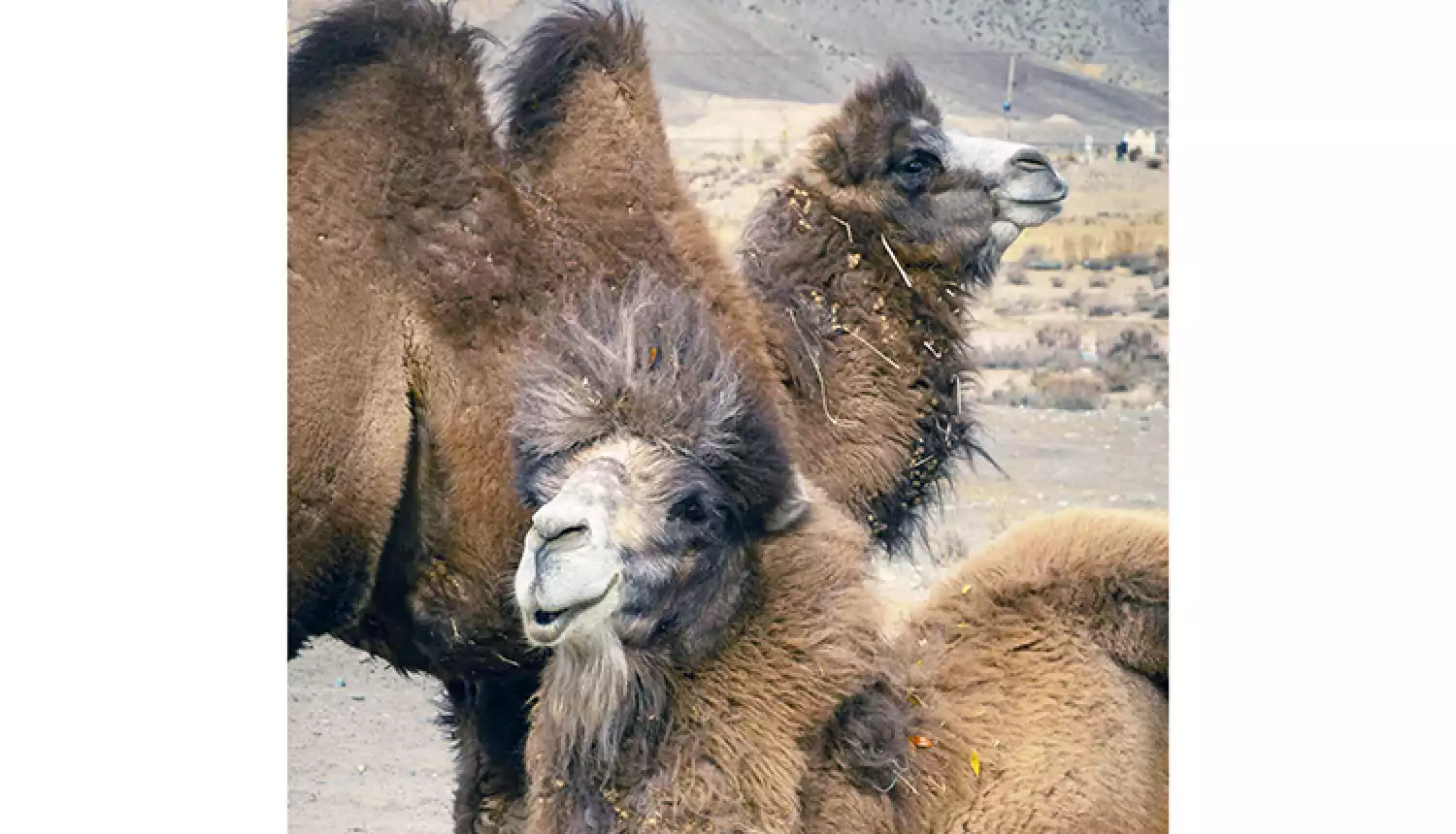 Не на пустом месте