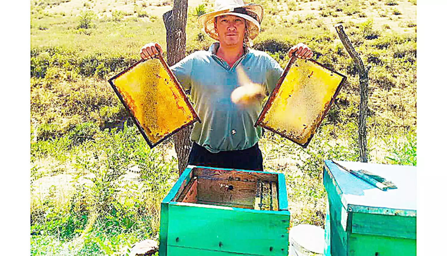 Тягучее золото Караконыза