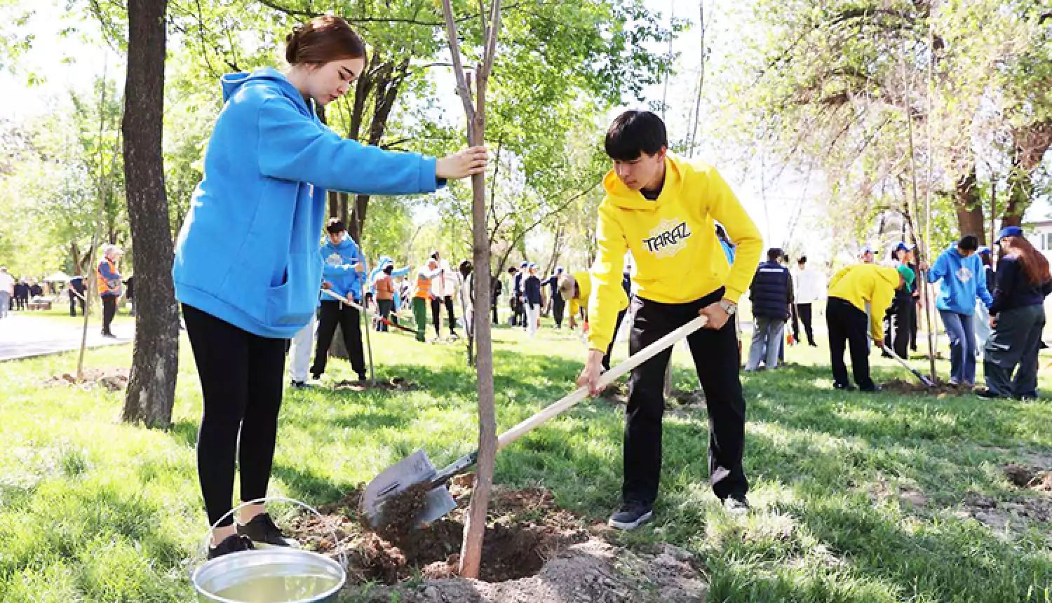 Жамбылцы не остались в стороне