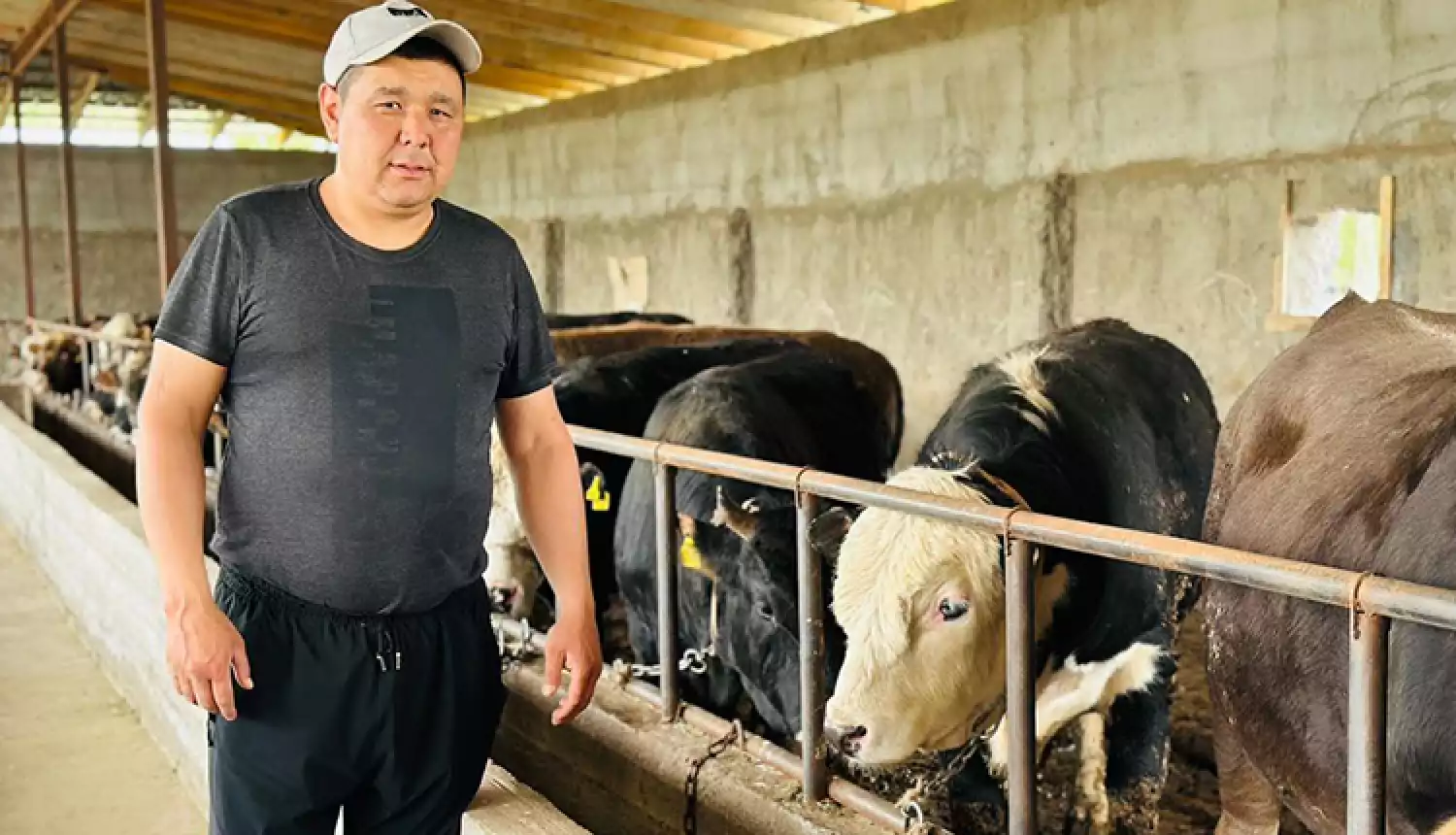 Акцент на качество